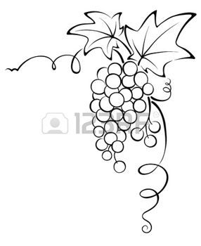 286x350 Raisin Illustration Conception Graphique - Raisin Drawing