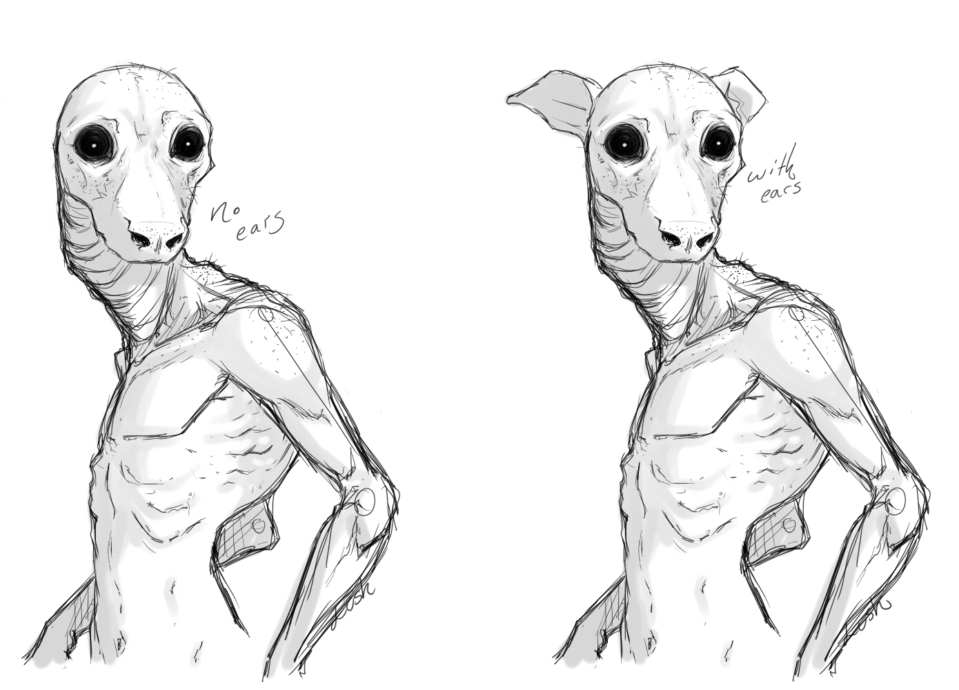 1390x1000 image - Rake Drawing