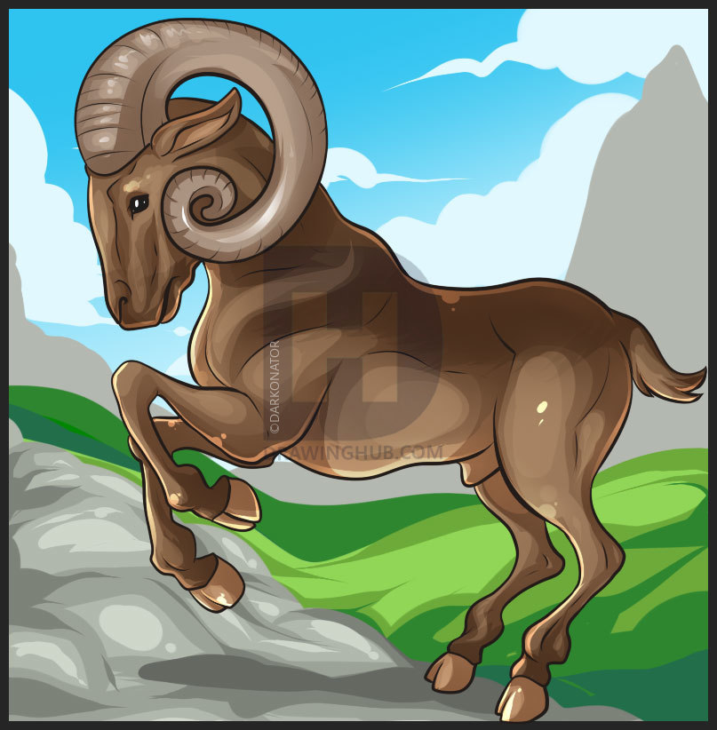 807x822 how to draw a ram, step - Ram Animal Drawing