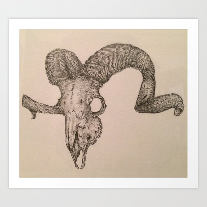 700x700 ram skull drawing art print - Ram Drawing