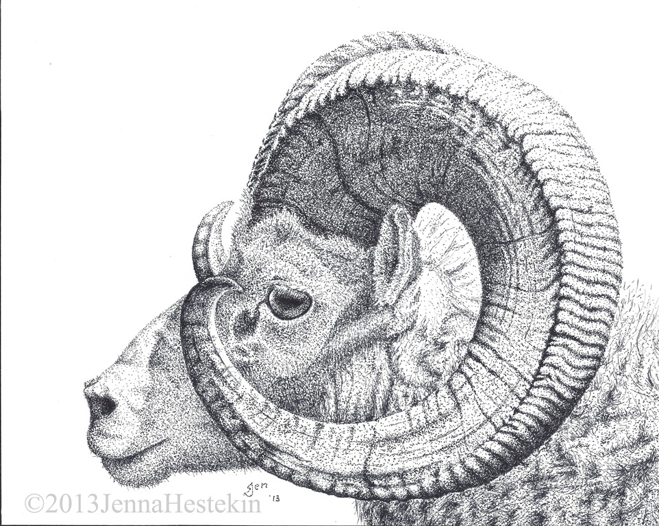 962x768 ram drawing free download - Ram Drawing