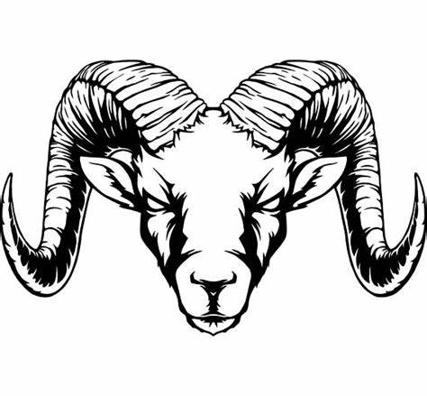 Ram Head Drawing At Paintingvalley.com 