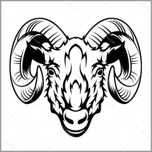 300x300 Ram Head Drawing Line Work Vector Lazttweet - Ram Head Drawing