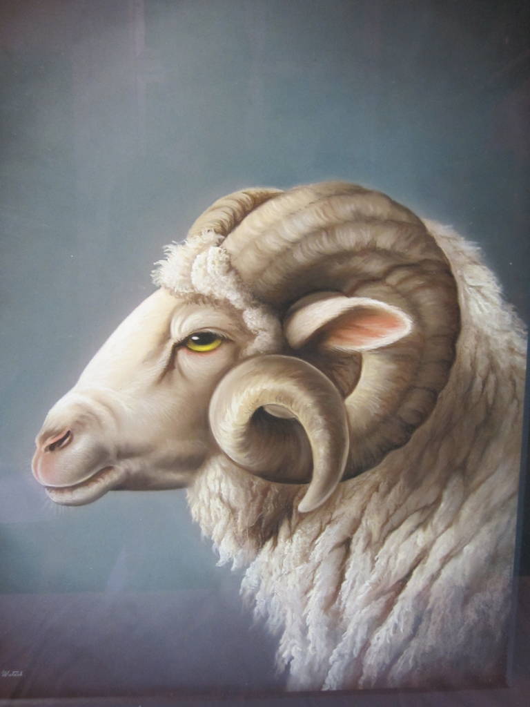 768x1024 Rams Head Pastel Drawing - Ram Head Drawing