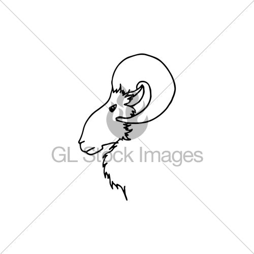 500x500 Vector Illustration Of Hand Drawing Ram Head In Profile Gl - Ram Head Drawing