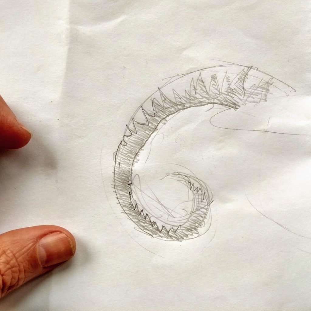 1024x1022 My Little Secret About Painting Ram Horns Marion Boddy Evans - Ram Horns Drawing