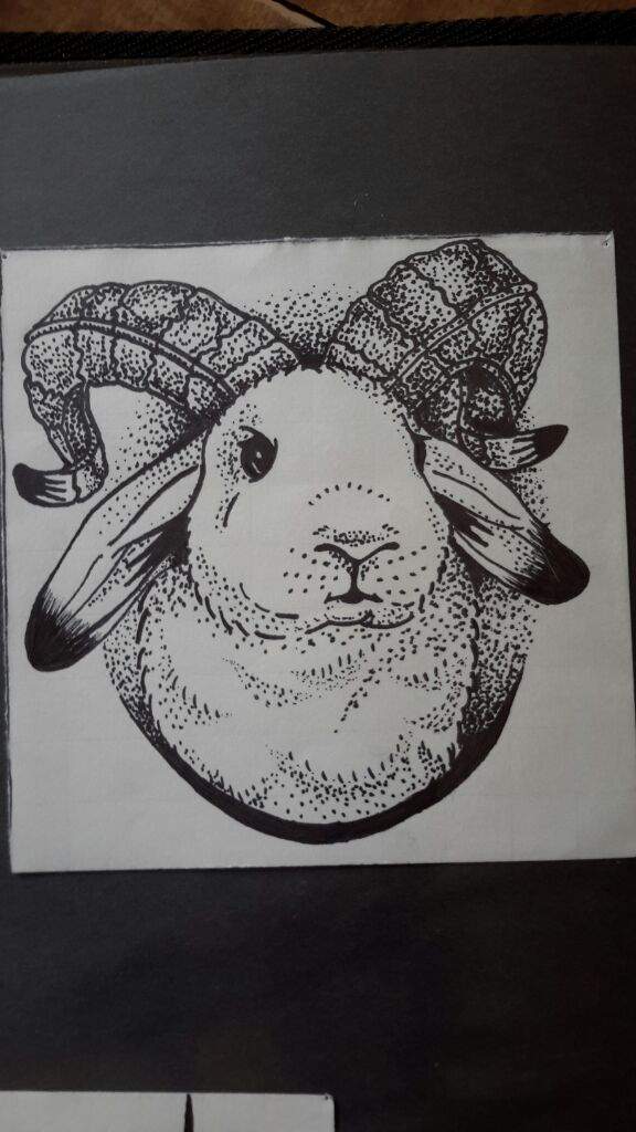 576x1024 Rabbit With Ram Horns Art Amino - Ram Horns Drawing