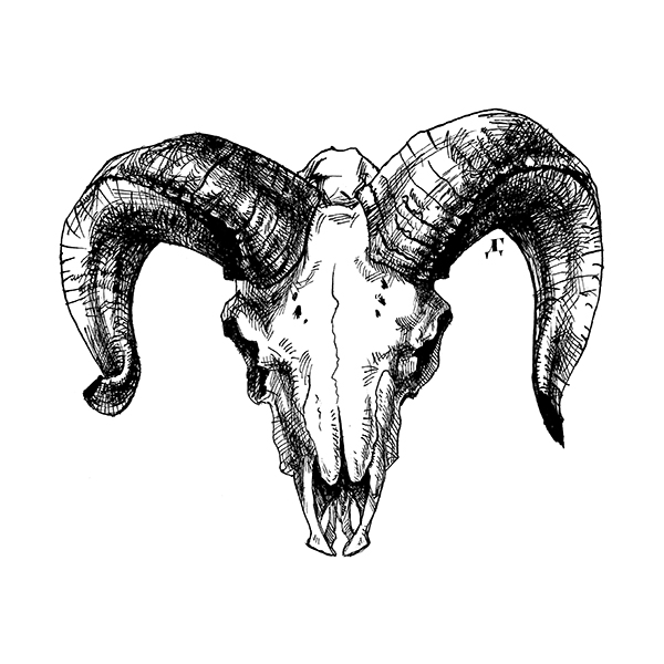 600x600 ram skull print cushion cover - Ram Horns Drawing.