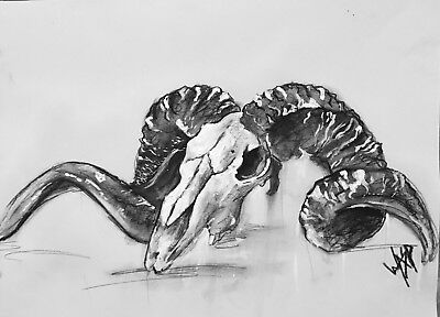 400x288 Ram Skull Drawingpainting On Paper Art Gothic Punk Tattoo - Ram Skull Drawing