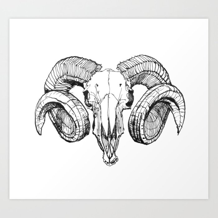 700x700 Ram Skull Art Print - Ram Skull Drawing
