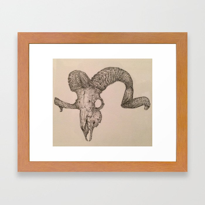 700x700 Ram Skull Drawing Framed Art Print - Ram Skull Drawing