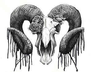 300x236 Ram Skull Drawings Fine Art America - Ram Skull Drawing