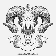 236x236 best ram skull images drawings, skulls, ram skull - Ram Skull Drawing
