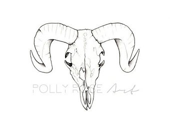 340x270 Ram Skull Drawing Etsy - Ram Skull Drawing