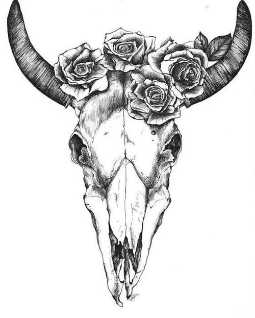 500x623 Ram Skull Draw - Ram Skull Drawing