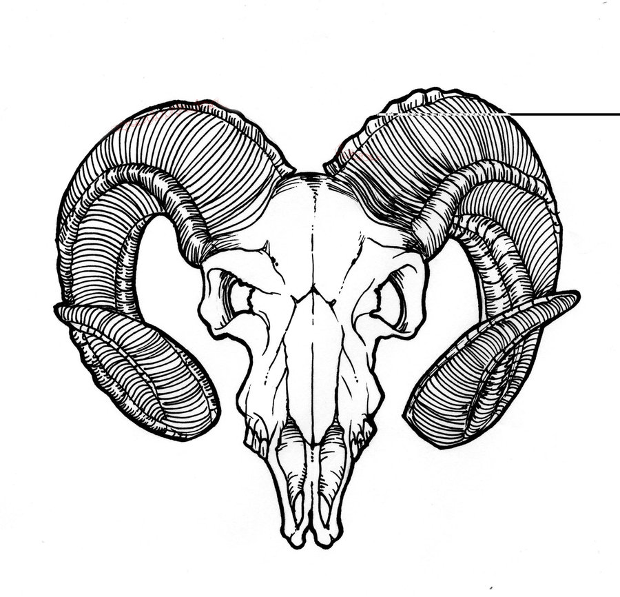 900x866 Ram Drawing Evil For Free Download - Ram Skull Drawing