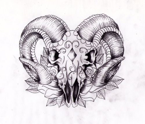 500x428 Awesome Ram Skull Drawing - Ram Skull Drawing