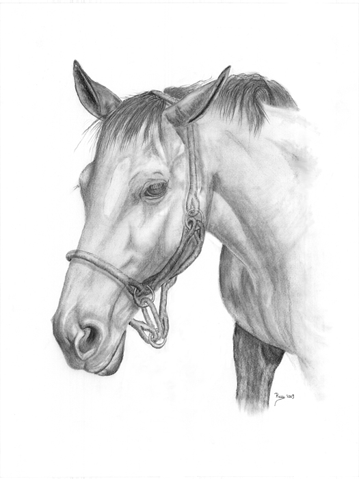 Ranch Drawing at PaintingValley.com | Explore collection of Ranch Drawing