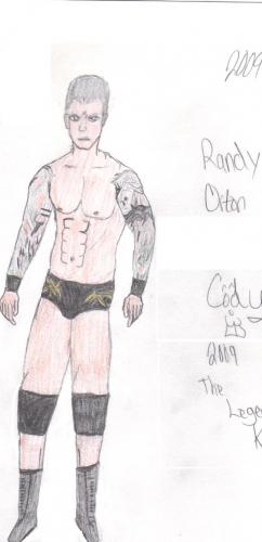242x500 Randy Orton - Randy Orton Drawing