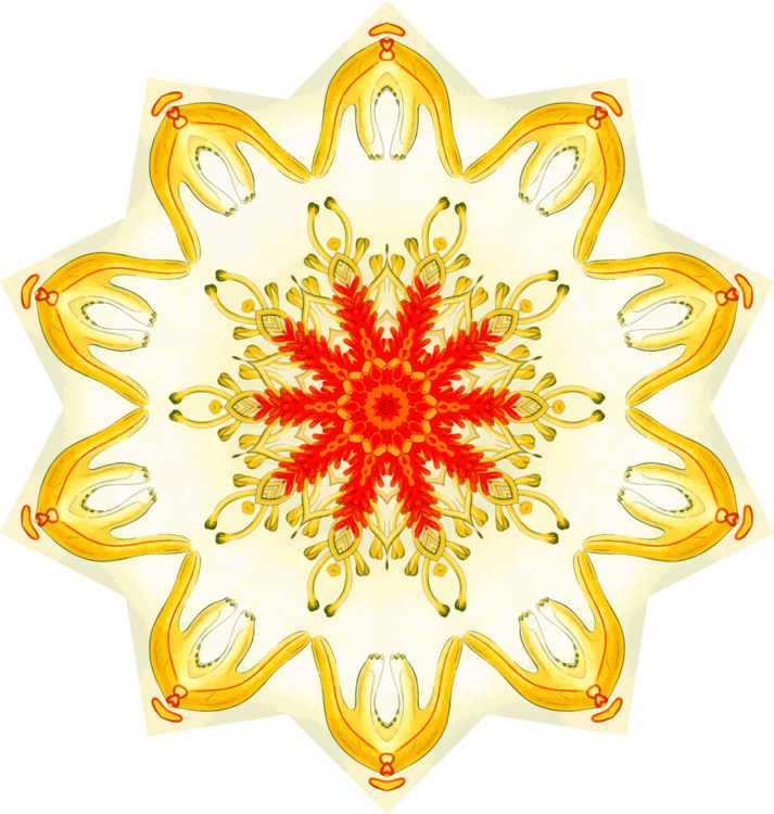 713x750 color flower rangoli drawing cc0 - Rangoli Drawing