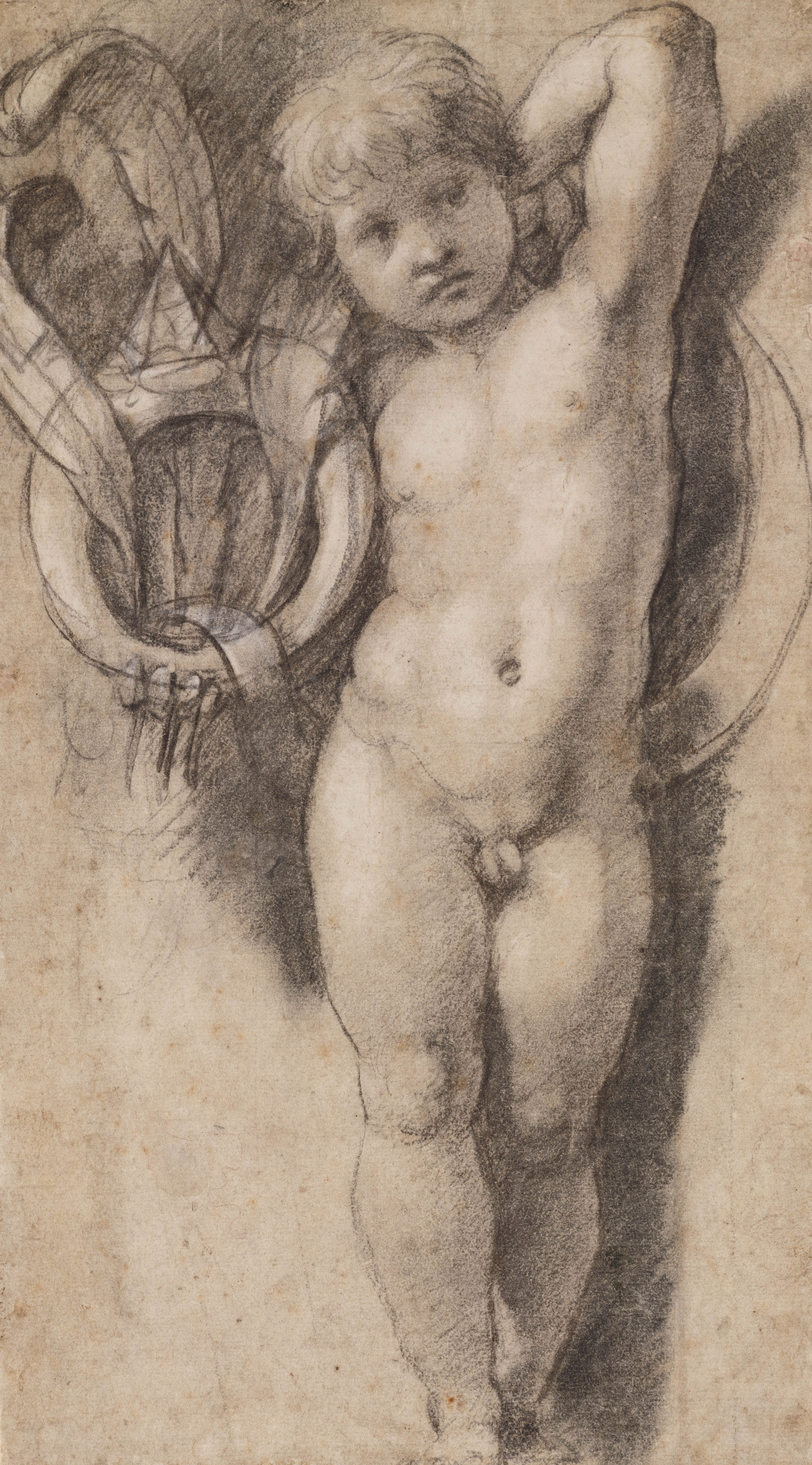2886x5204 Raphael The Drawings Christie - Raphael Drawings