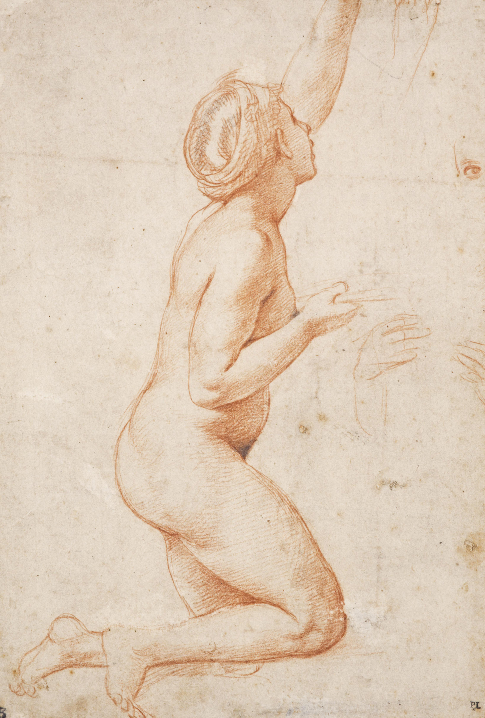 1600x2367 Raphael Up Close - Raphael Drawings