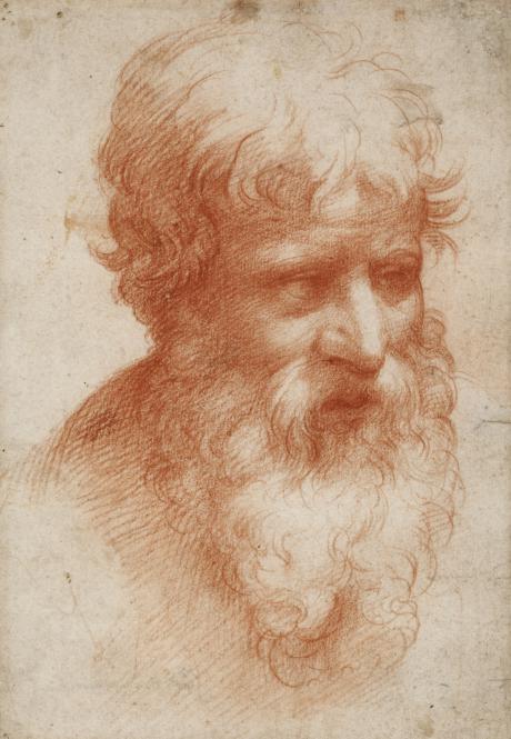 Raphael Drawings at PaintingValley.com | Explore collection of Raphael ...