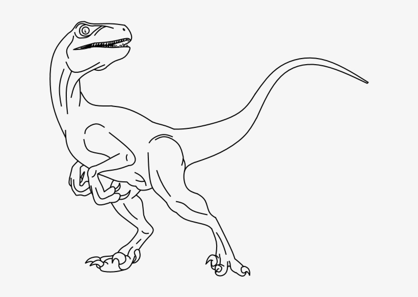 Raptor Dinosaur Drawing at Explore collection of