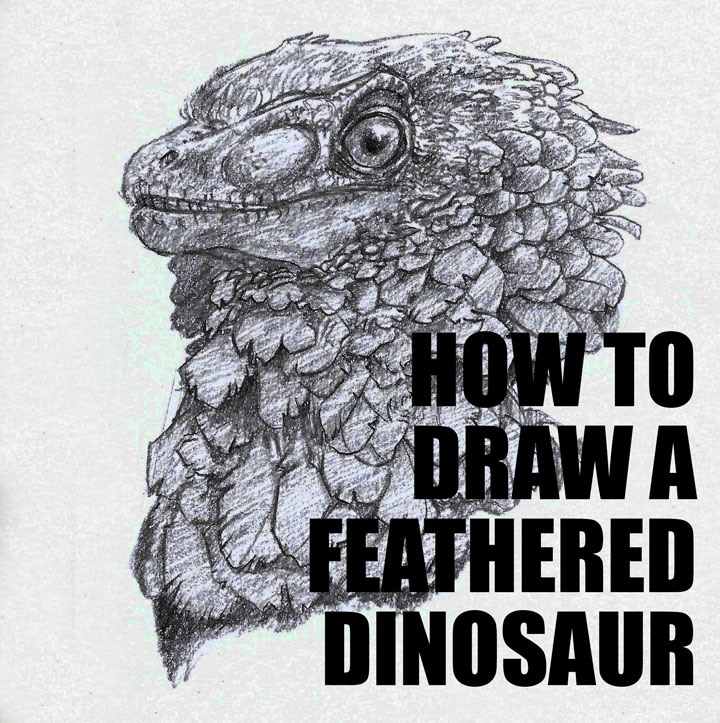720x723 how to draw a feathered raptor dinosaur - Raptor Dinosaur Drawing