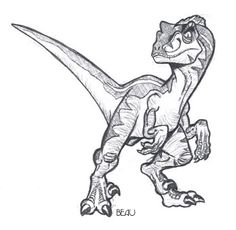 236x230 how to draw a raptor head, step - Raptor Dinosaur Drawing