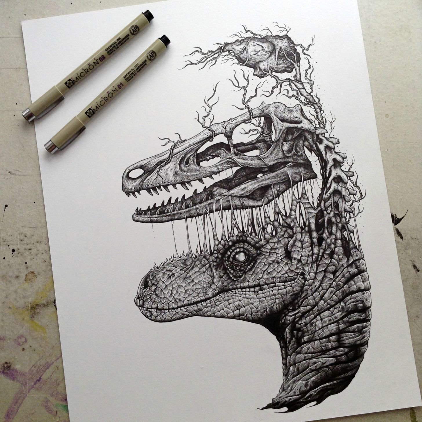 1456x1456 raptor skull and brain drawing pics - Raptor Dinosaur Drawing