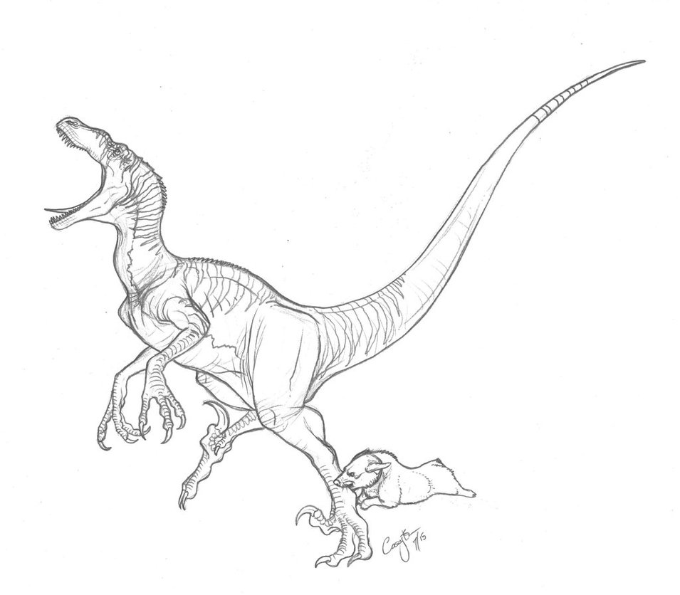 955x836 raptor drawing stegosaurus for free download - Raptor Drawing