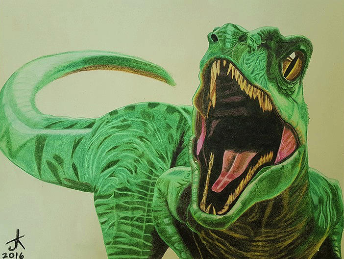 702x528 raptor objection drawing - Raptor Drawing