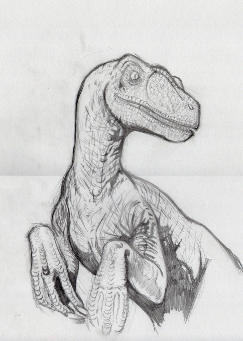 484x680 raptor nature drawings pictures drawings ideas for kids easy - Raptor Drawing