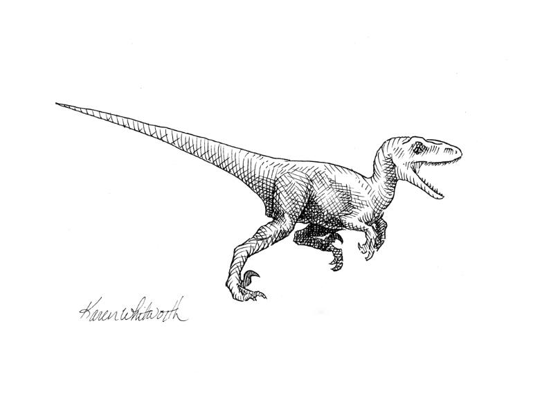 770x578 velociraptor - Raptor Drawing