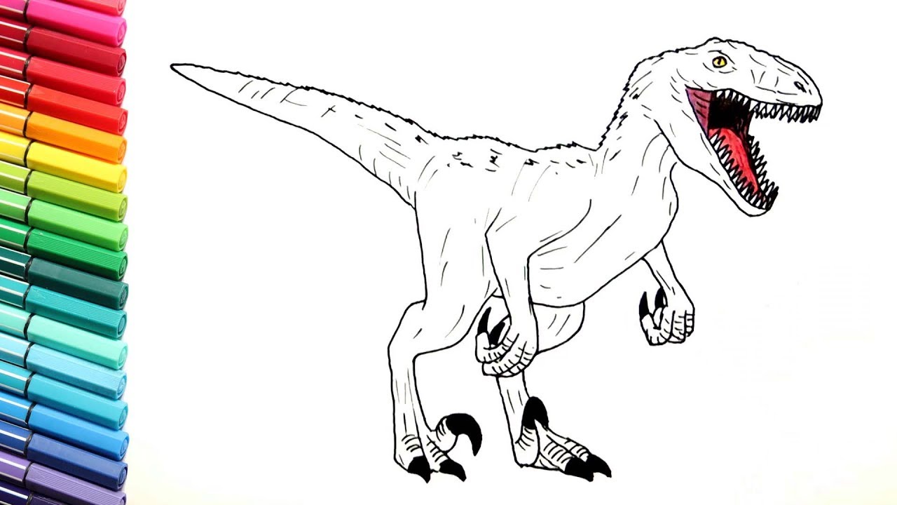 1280x720 velociraptor color pages for kids - Raptor Drawing