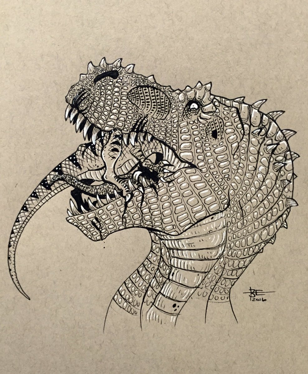988x1200 on twitter - Raptor Drawing