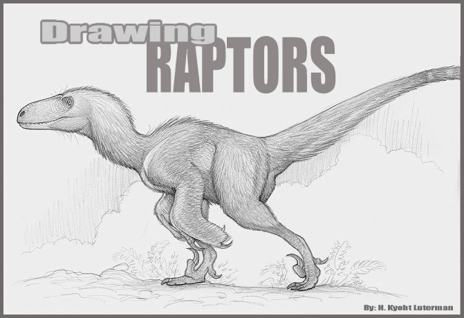 671x460 drawing raptors - Raptor Drawing