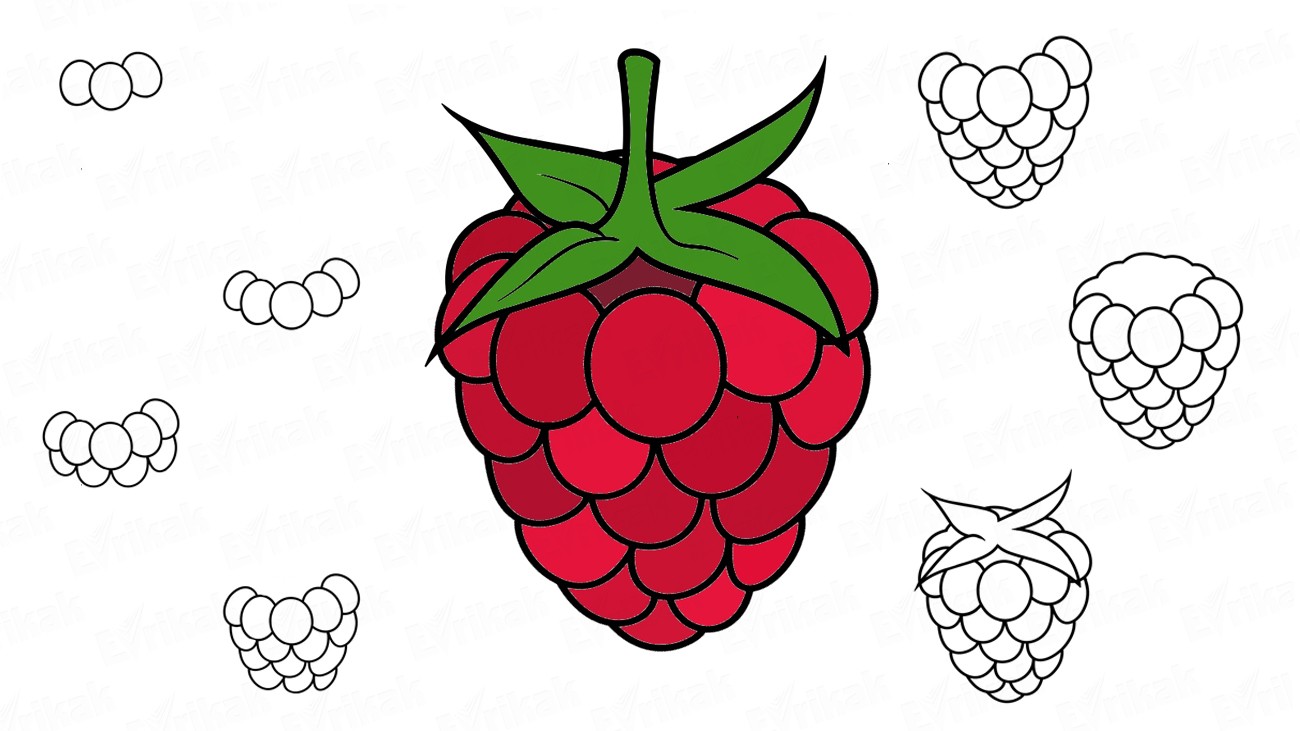 1300x731 How To Draw A Raspberry Step - Raspberry Drawing