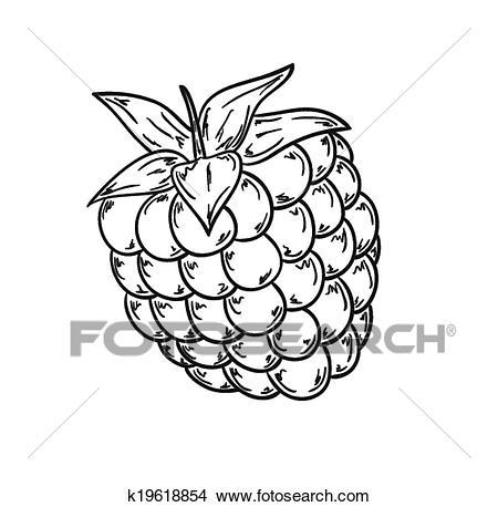 450x458 Raspberry Clipart Black And White Clip Art Images - Raspberry Drawing