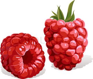 320x272 Raspberry Drawing - Raspberry Drawing