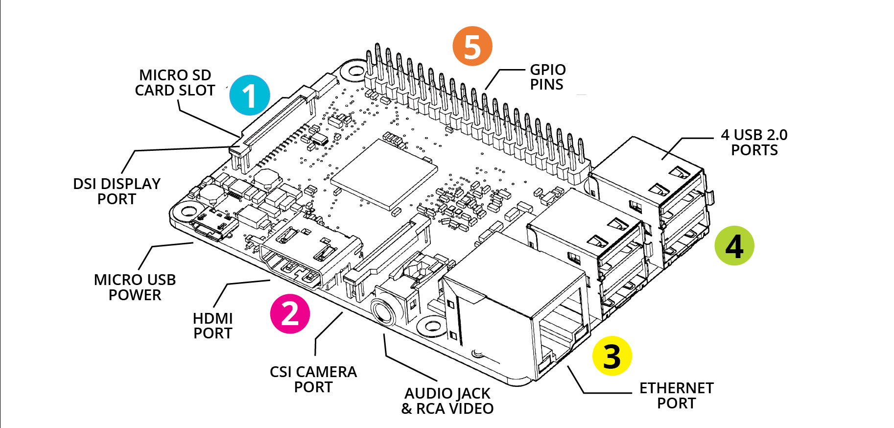 Raspberry Pi Drawing At Explore Collection Of Raspberry Pi Drawing 5805