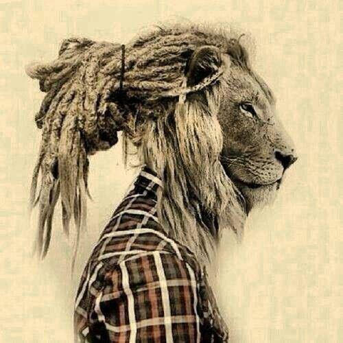 500x500 rasta lion drawing - Rasta Lion Drawing