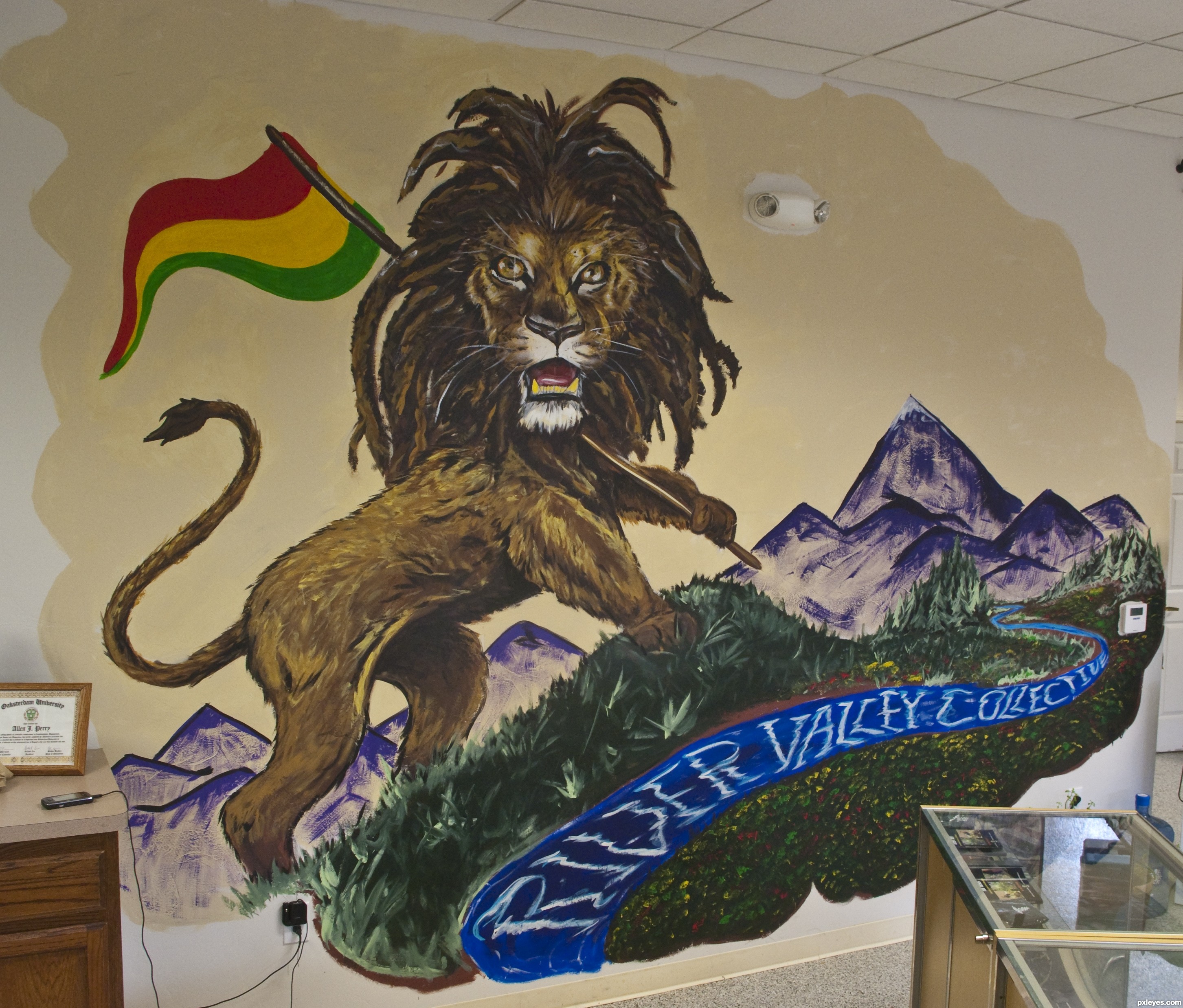 2905x2475 rasta lion picture - Rasta Lion Drawing