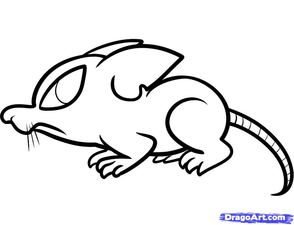 935x715 How To Draw A Rat For Kids, Step - Rat Drawing