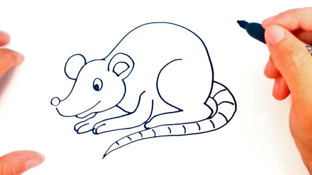 1280x720 How To Draw A Rat For Kids Rat Drawing Lesson Step - Rat Drawing
