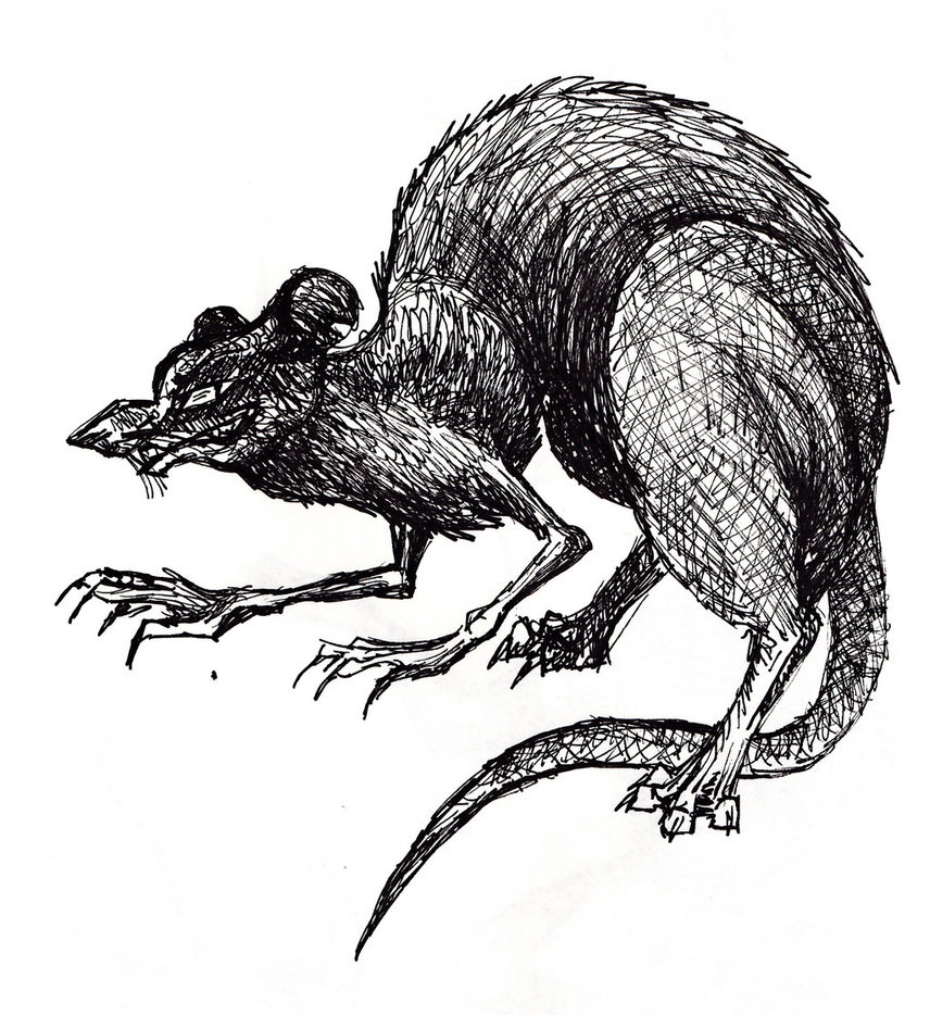 856x934 Scary Rat Drawing - Rat Drawing