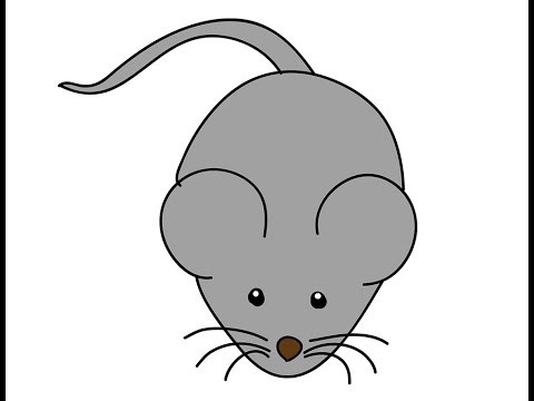 480x360 easy rat drawing - Rat Drawing Images