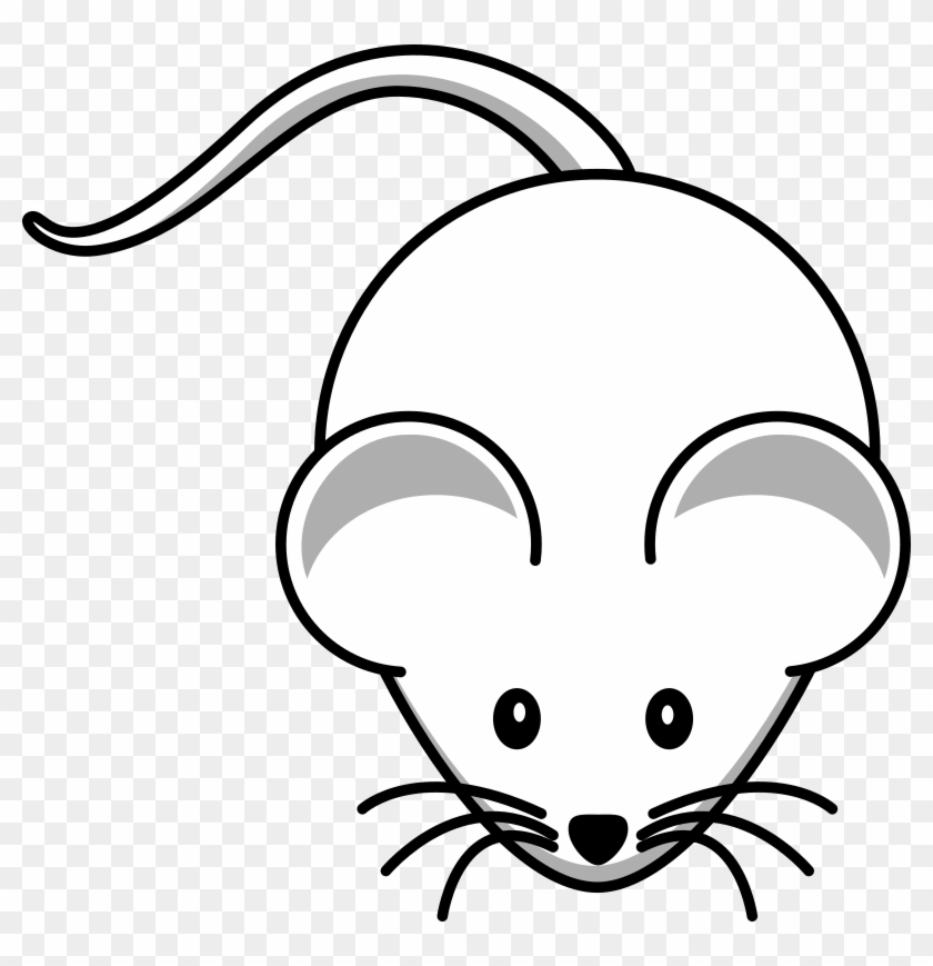 840x869 rat drawing - Rat Drawing Images