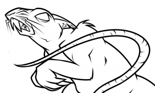 302x181 rat tattoo drawing tutorial, step - Rat Drawing Images